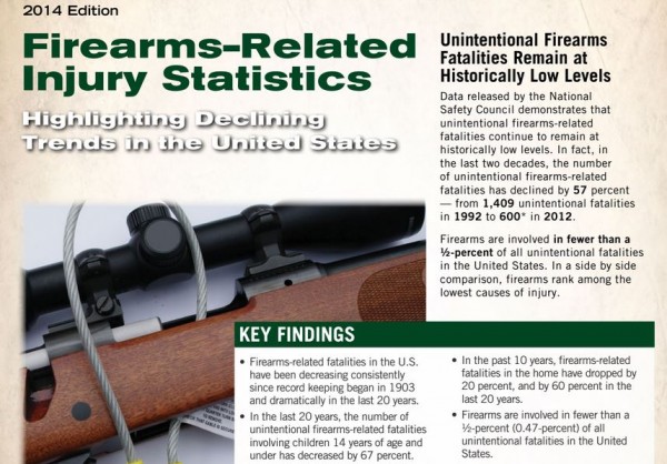 Firearm Safety Stats
